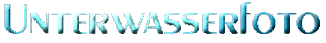 Unterwasserfoto